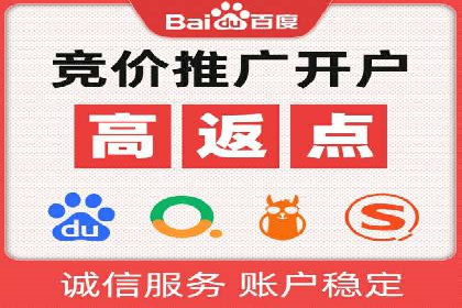 百度SEO推广案例：实战解析与效果展示